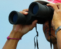Portrait de Frédéric Taveau