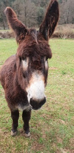 Portrait de Yannick Bellet