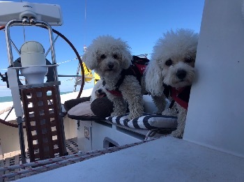 Portrait de James Alexander