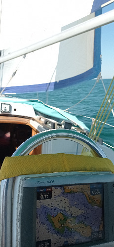 Portrait de Rémi ROQUES